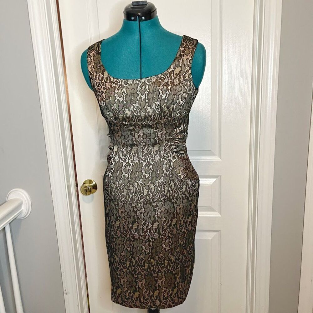 Ann Taylor Petite Embroidered Ruched Floral Lace Sleeveless Line Fitted Dress